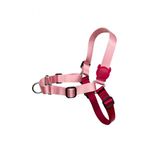 PEITORAL WALK BLINK P