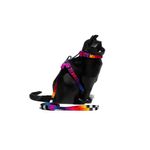 ZEE PEITORAL COM GUIA PARA GATOS PRISMA