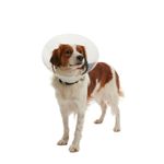 Colar-Elizabetano-Click-Buster-75Cm