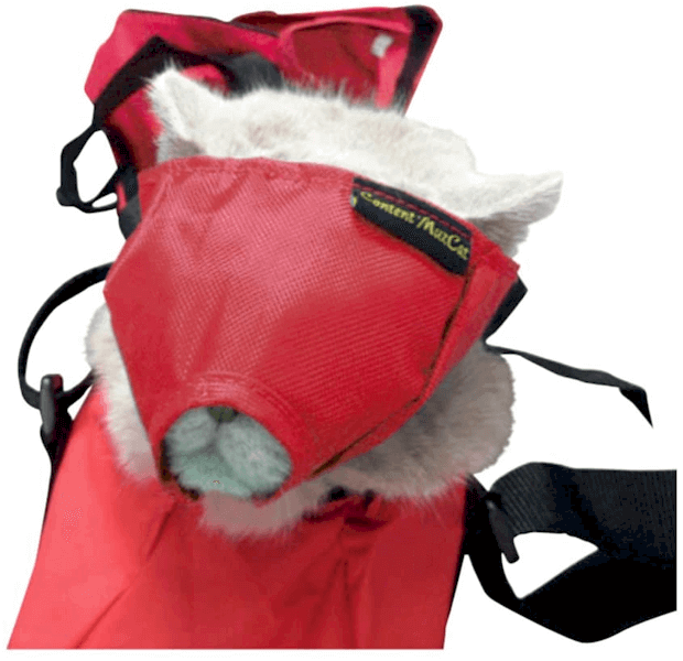 Mascara-Protecao-P-Gatos-Nylon-Buster-M
