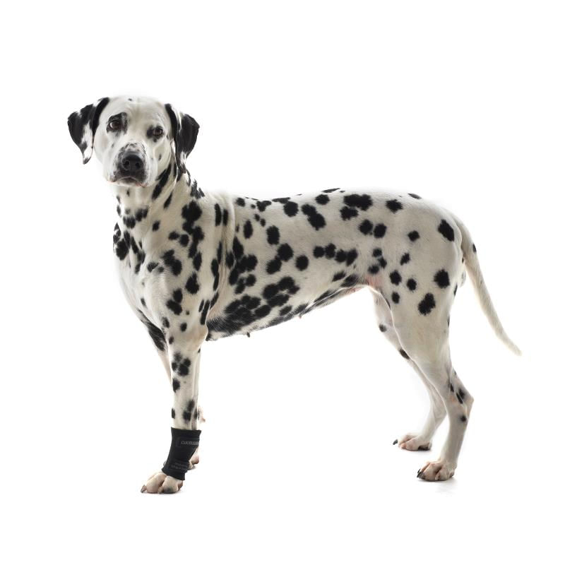 Protetor De Carpo Kruuse M