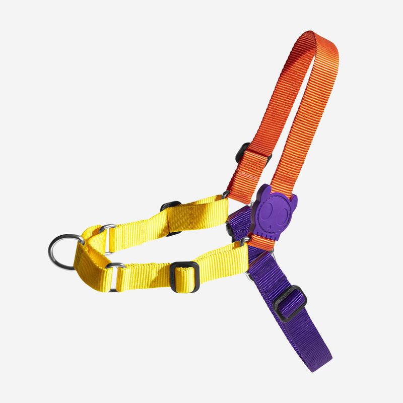 PEITORAL--ANTI-PIXAO-PUMP-P
