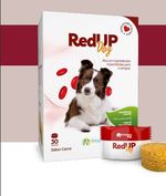 RED-UP-DOG-